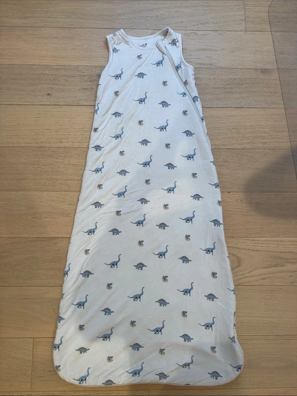 Sleeveless Baby Sleep Sack with Blue Dinosaur Print